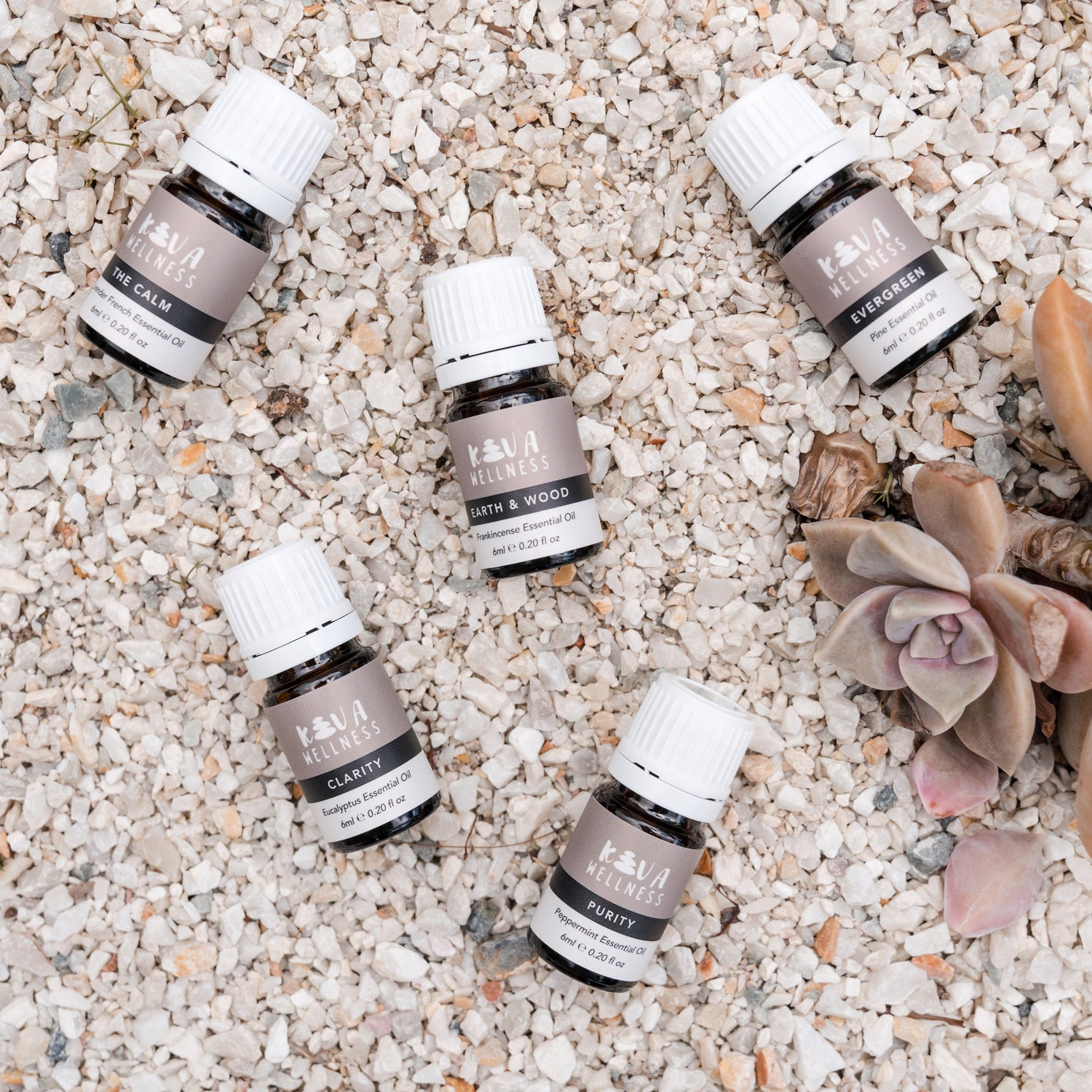Essential Oils - Pack of 5 (Eucalytus, Lavender, Pine, Peppermint, Frankincense)